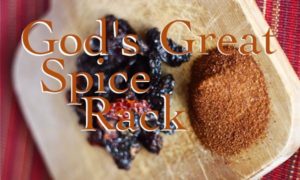 God's Great Spice Rack